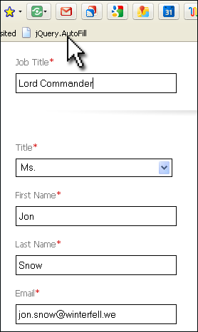 Filling-out a form by the bookmaklet Filling-out a form by the bookmaklet